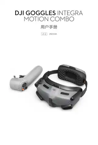 DJI大疆DJI 飞行眼镜一体版